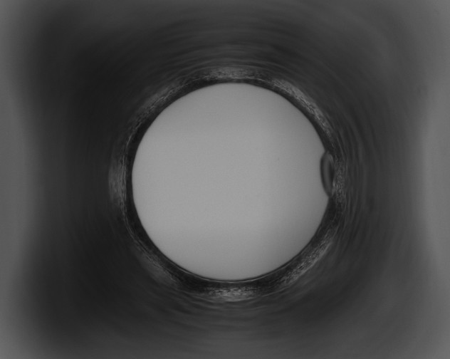 X0000100190445200806201258