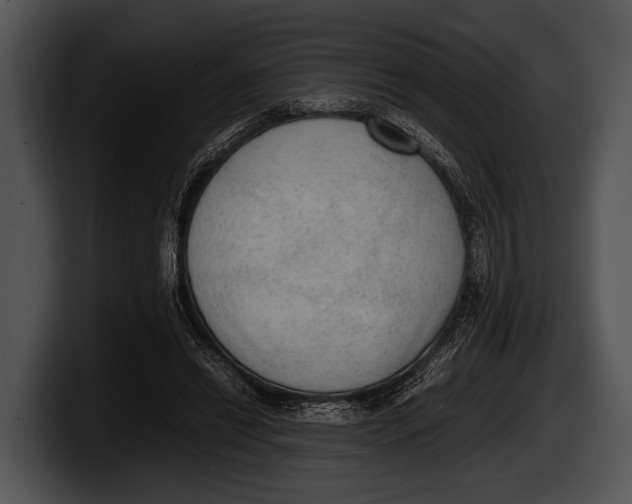 X0000100190446200806201258