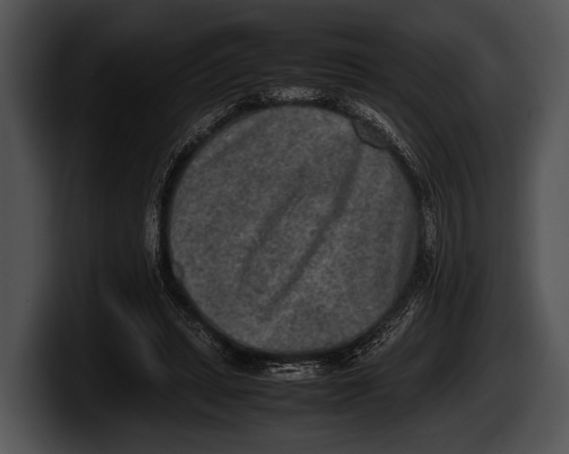 X0000100190447200806201258