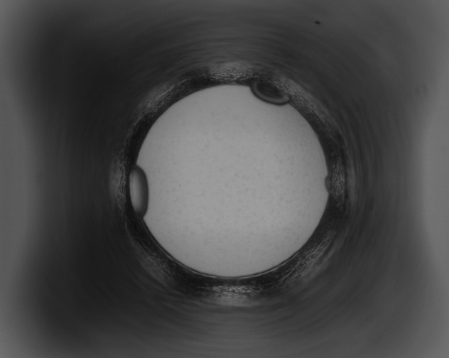 X0000100190448200806201258