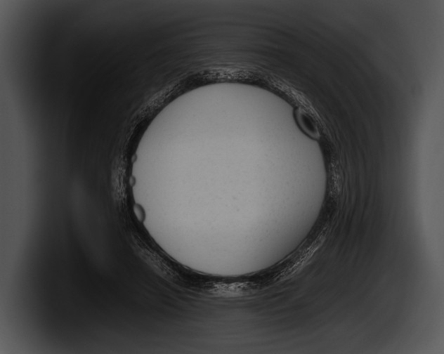 X0000100190450200806201258