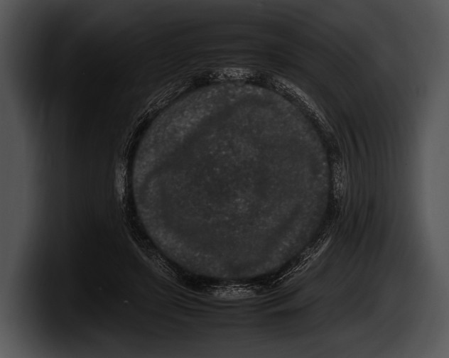 X0000100190451200806201258