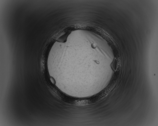 X0000100190452200806201258
