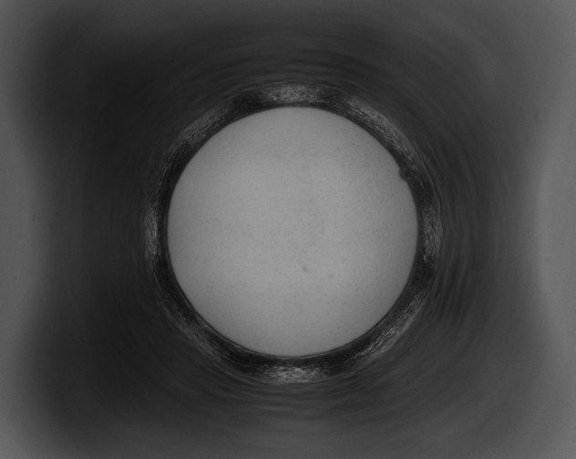 X0000100190453200806201258