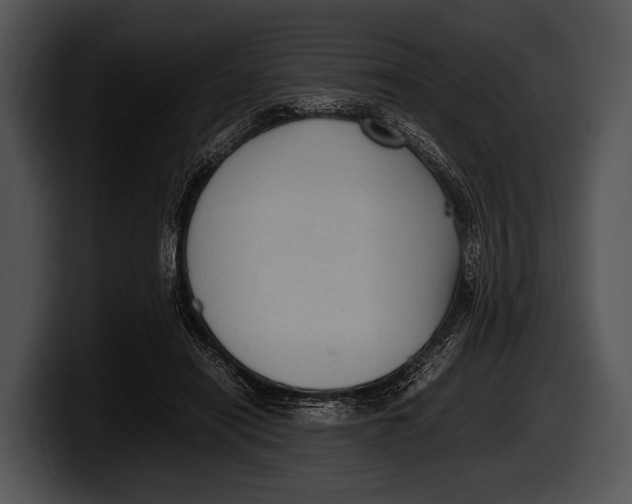 X0000100190454200806201258