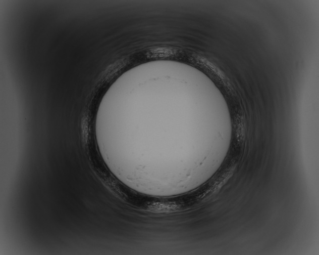 X0000100190455200806201258