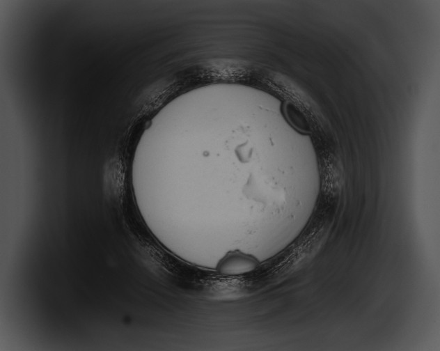 X0000100190456200806201258