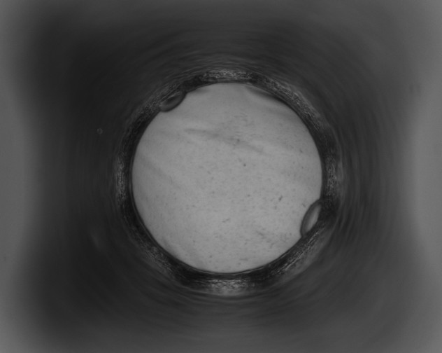 X0000100190457200806201258