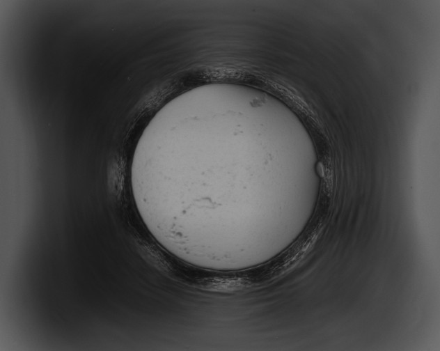 X0000100190458200806201258