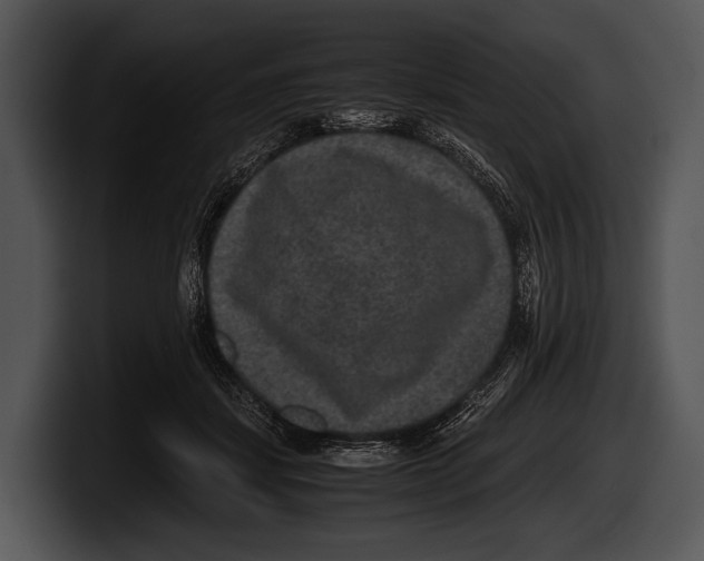 X0000100190459200806201258