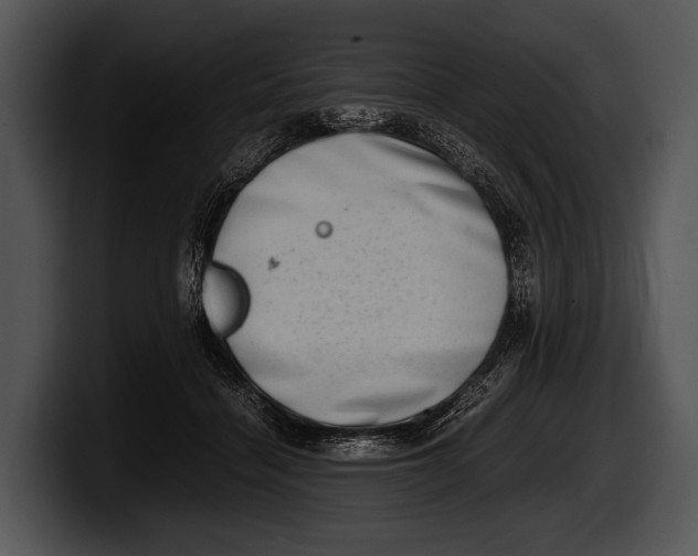 X0000100190460200806201258