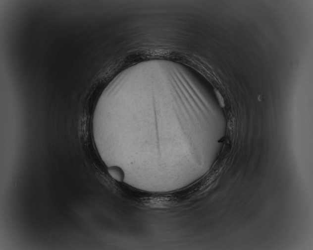 X0000100190462200806201258