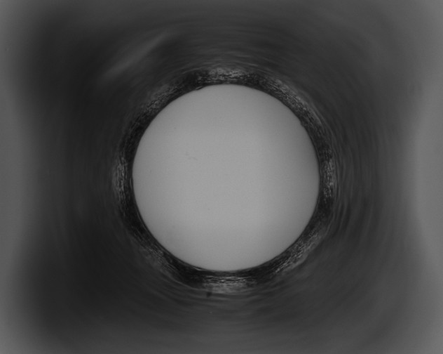 X0000100190463200806201258