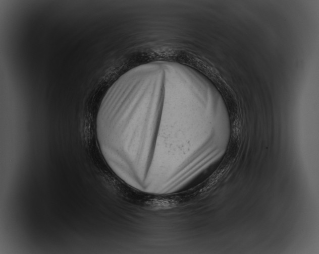 X0000100190464200806201258