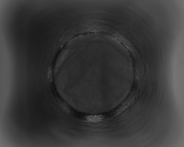 X0000100190465200806201258
