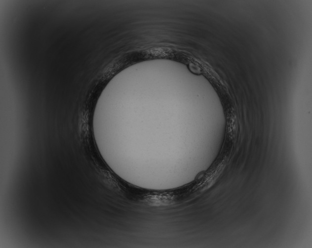 X0000100190466200806201258