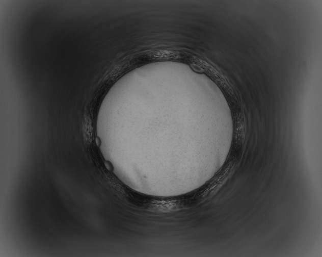 X0000100190469200806201258