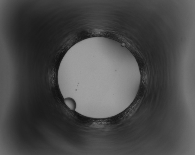 X0000100190470200806201258