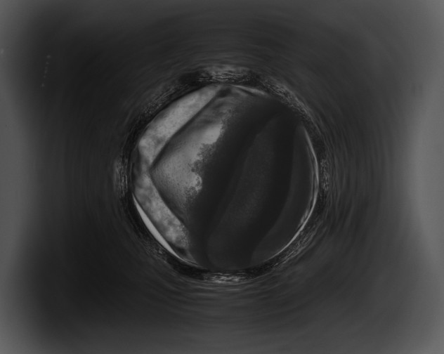 X0000100190471200806201258