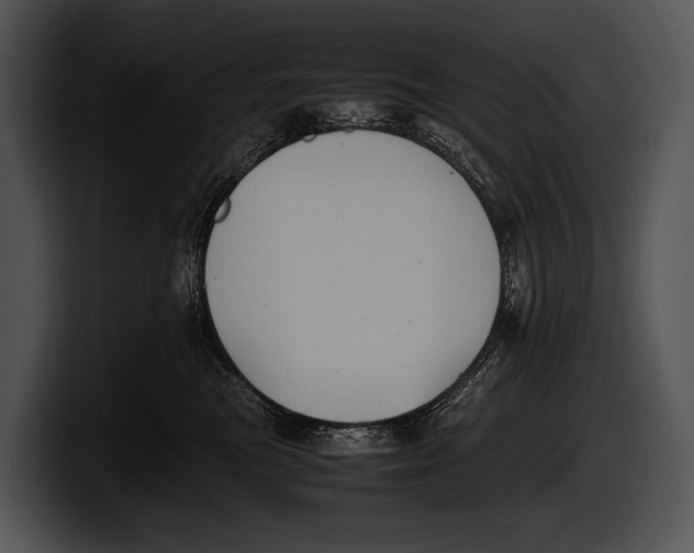 X0000100190473200806201258