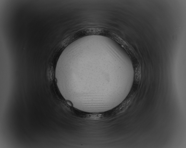 X0000100190474200806201258