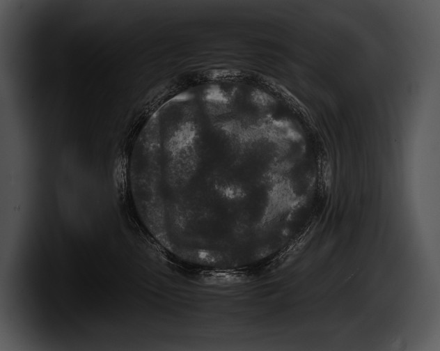 X0000100190475200806201258
