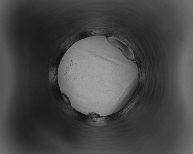 X0000100190478200806201258