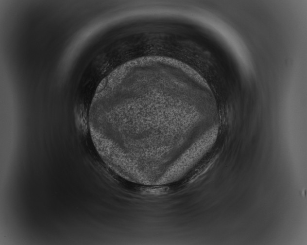 X0000100190479200806201258