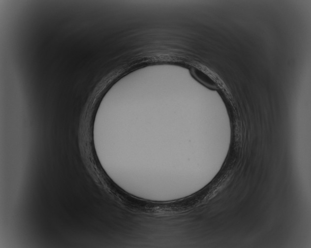 X0000100190481200806201258