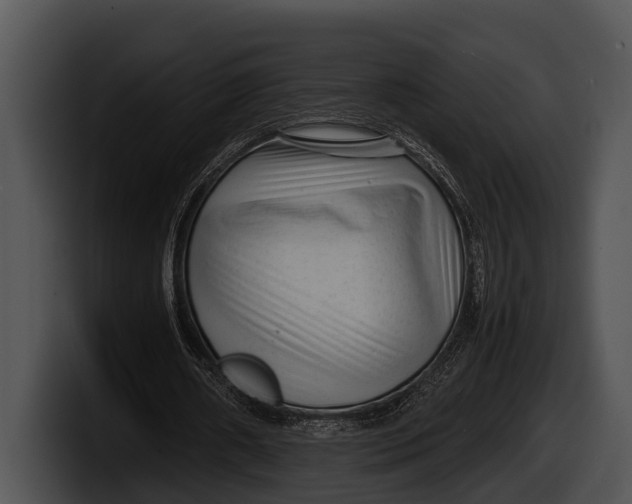 X0000100190482200806201258