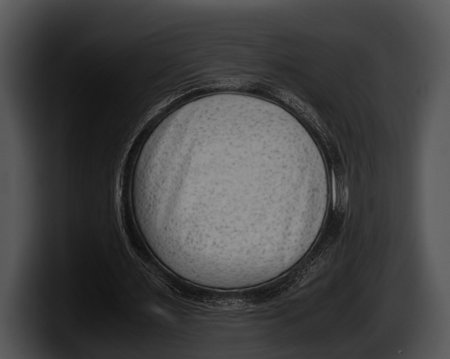 X0000100190483200806201257