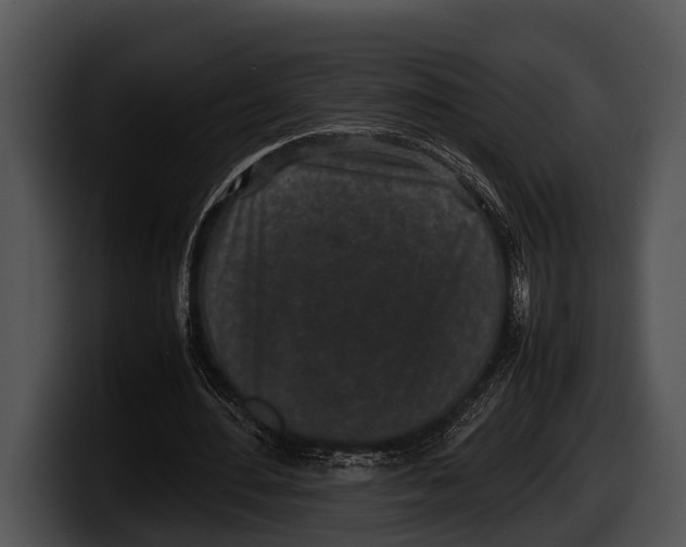 X0000100190484200806201257