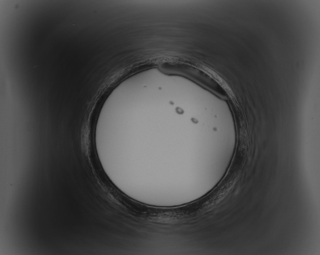X0000100190485200806201257
