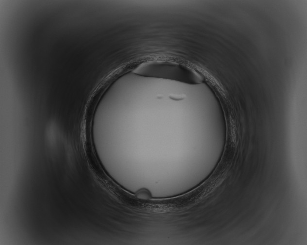 X0000100190486200806201257