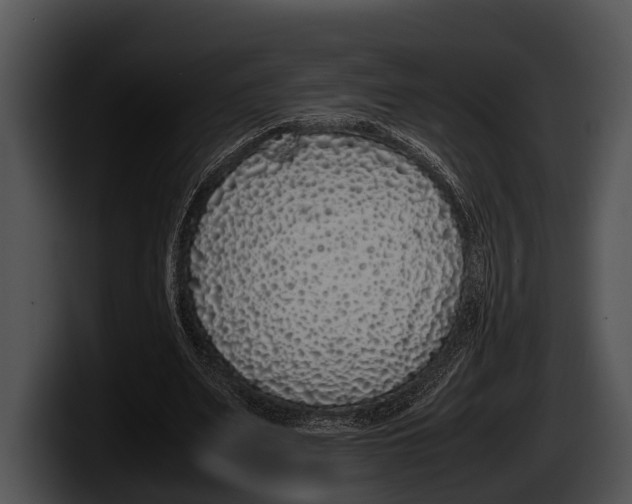 X0000100190487200806201257