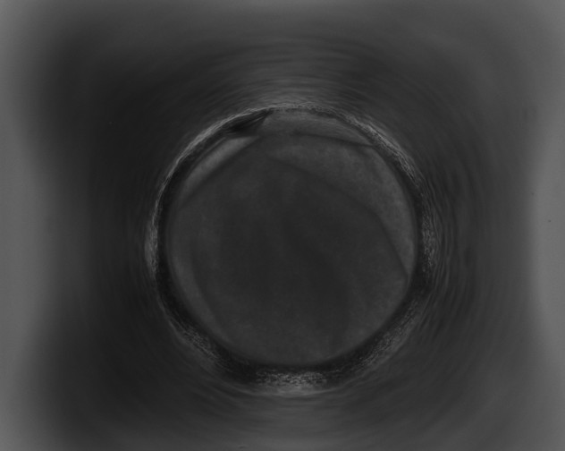 X0000100190488200806201257