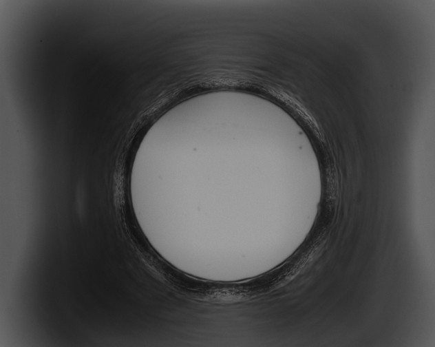 X0000100190489200806201257