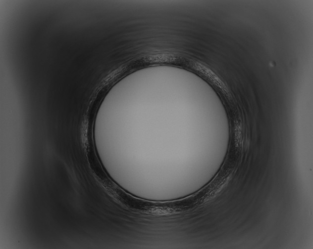 X0000100190490200806201257
