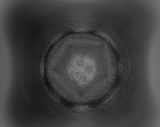 X0000100190491200806201257
