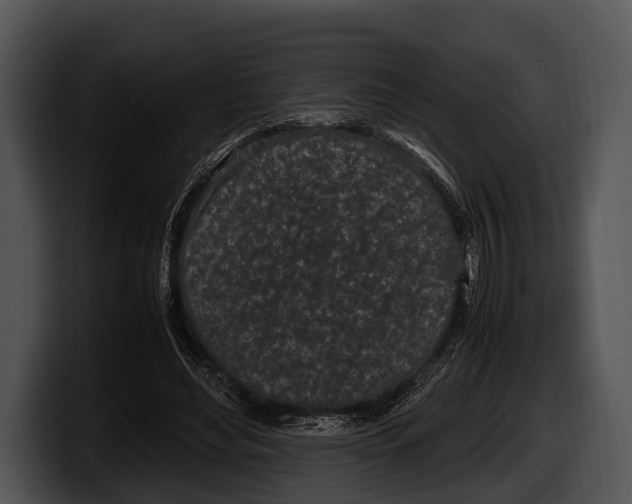 X0000100190492200806201257