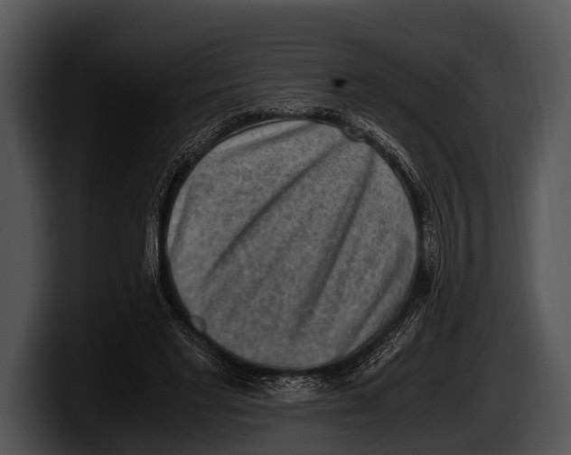 X0000100190493200806201257