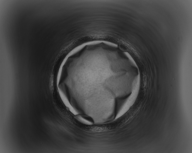 X0000100190494200806201257