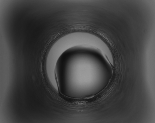 X0000100190495200806201257