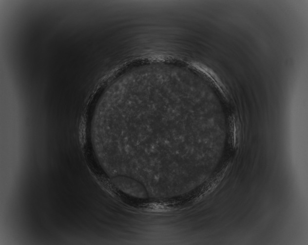 X0000100190496200806201257