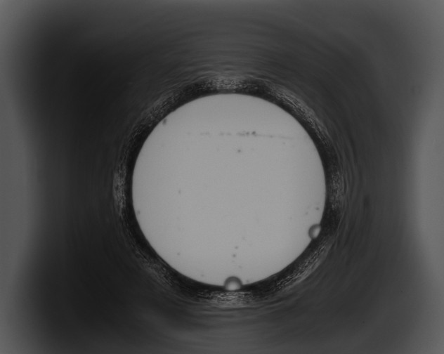 X0000100190497200806201257