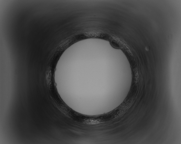 X0000100190498200806201257