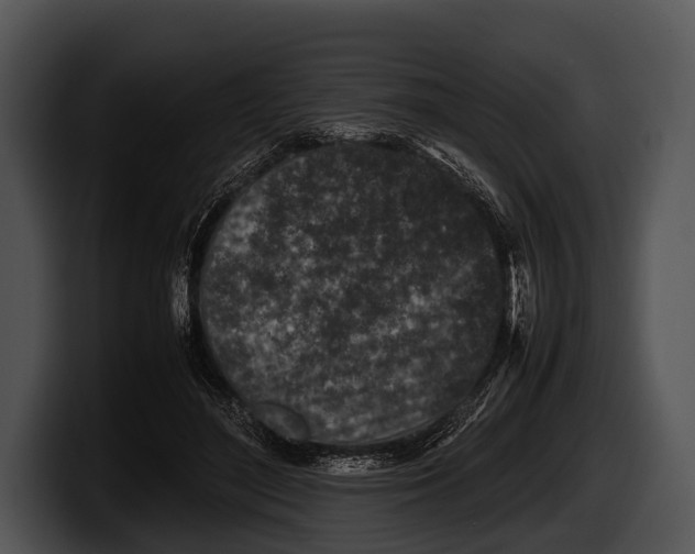 X0000100190500200806201257