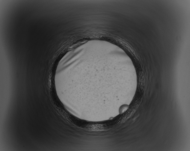 X0000100190501200806201257