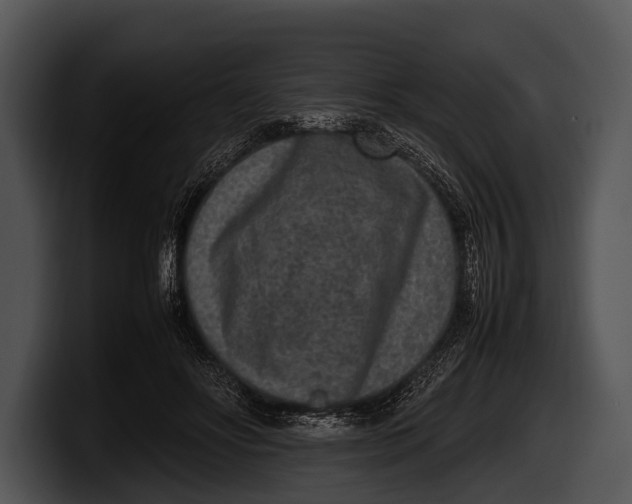 X0000100190502200806201257