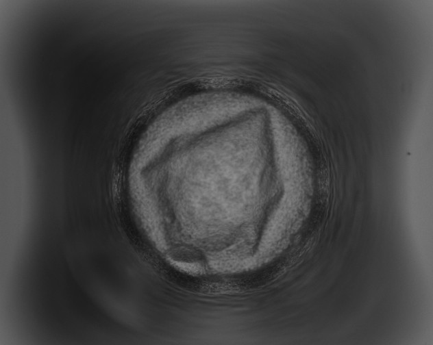 X0000100190503200806201257